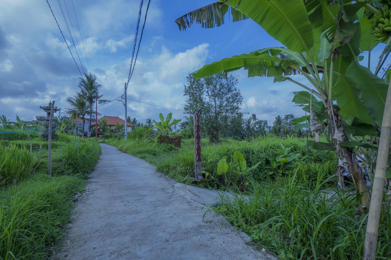 Vinayaka Ubud Zewnętrze zdjęcie